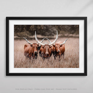 Texas longhorn canvas wall art Western style decor large cow print framed gallery