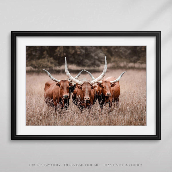 Debra Gail Fine Art Texas Longhorn Watusi Canvas Art Print - Western Style