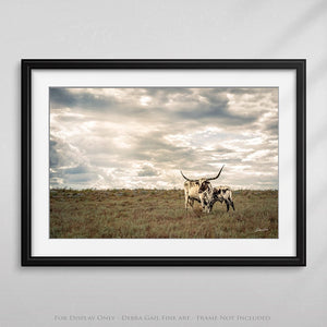 Longhorn wall decor – rustic Western fine art print by Debra Gail Fine Art
