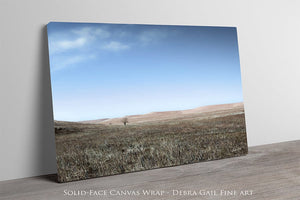 Flint Hills wall art – prairie tree landscape photography by Debra Gail Fine Art