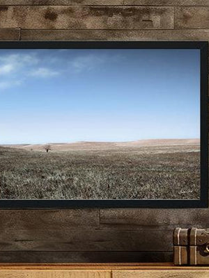 Flint Hills wall art – prairie tree landscape photography by Debra Gail Fine Art