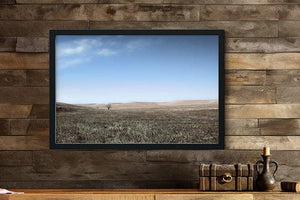 Flint Hills wall art – prairie tree landscape photography by Debra Gail Fine Art