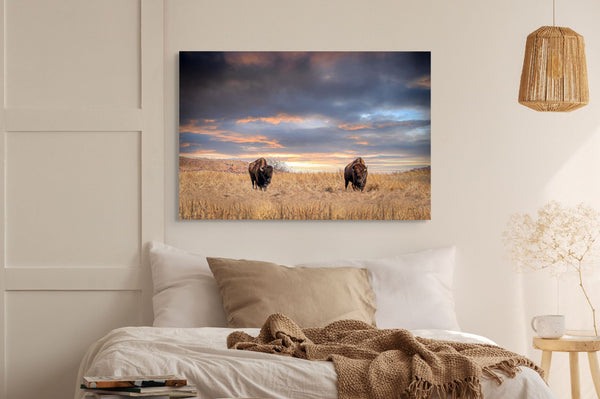 Debra Gail Fine Art UNTAMED FREEDOM - AMERICAN BISON IN THE SUNSET