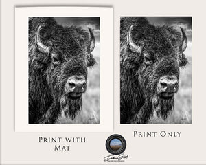 Bison wall art – neutral sepia rustic prairie photography print by Debra Gail Fine Art