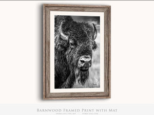 Bison wall art – neutral sepia rustic prairie photography print by Debra Gail Fine Art
