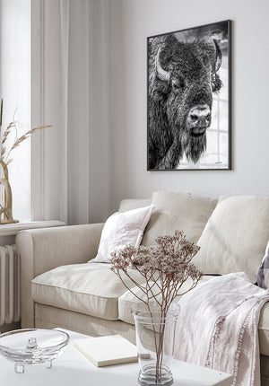 Bison wall art – neutral sepia rustic prairie photography print by Debra Gail Fine Art