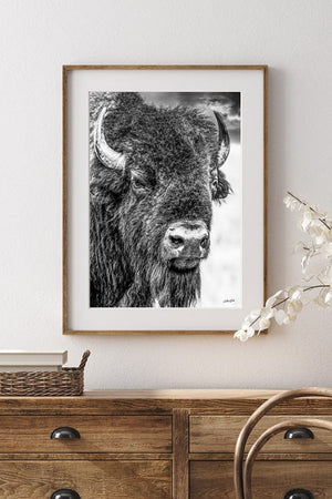 Bison wall art – neutral sepia rustic prairie photography print by Debra Gail Fine Art