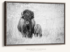 Bison wall art – rustic prairie photography print by Debra Gail Fine Art