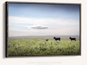 buffalo split panel triptych wall art – rustic Western canvas prints