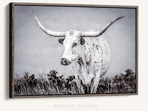Longhorn wall decor – rustic Western fine art print by Debra Gail Fine Art
