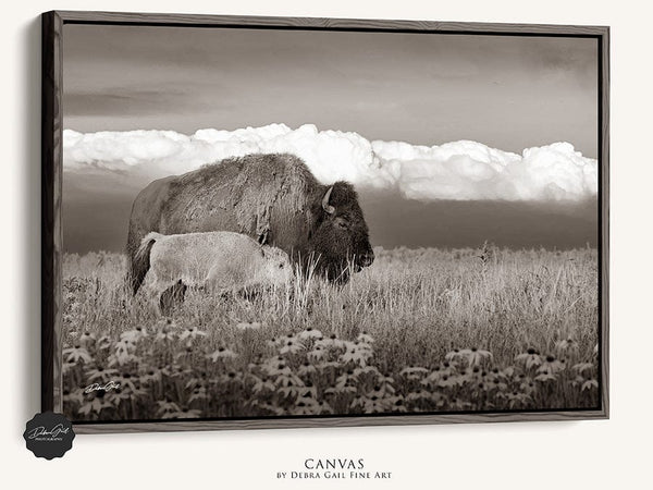 Debra Gail Fine Art Walnut Framed Canvas / 10x8 BUFFALO AND CALF - OKLAHOMA PLAINS PHOTOGRAPHY