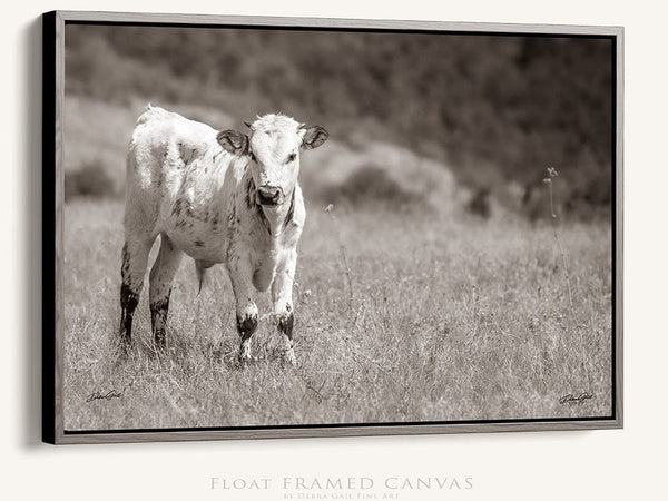 Debra Gail Fine Art Walnut Framed Canvas / 10x8 Cute Longhorn Calf Print - Farmhouse Decor