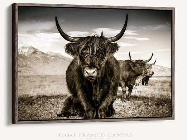 Debra Gail Fine Art Walnut Framed Canvas / 10x8 Highland Cattle Close Up Sepia Wall Art No. 9659