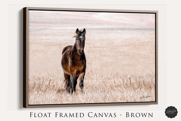 Debra Gail Fine Art Walnut Framed Canvas / 10x8 HORSE ON THE PRAIRIE - WESTERN DECOR PRINT