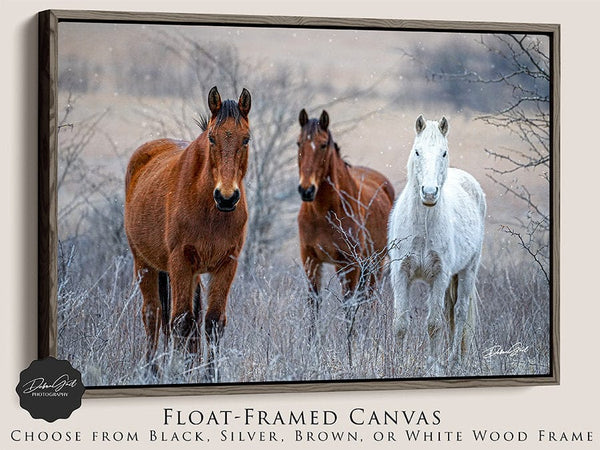 Debra Gail Fine Art Walnut Framed Canvas / 10x8 HORSES IN WINTER - NATURE PHOTOGRAPHY DECOR