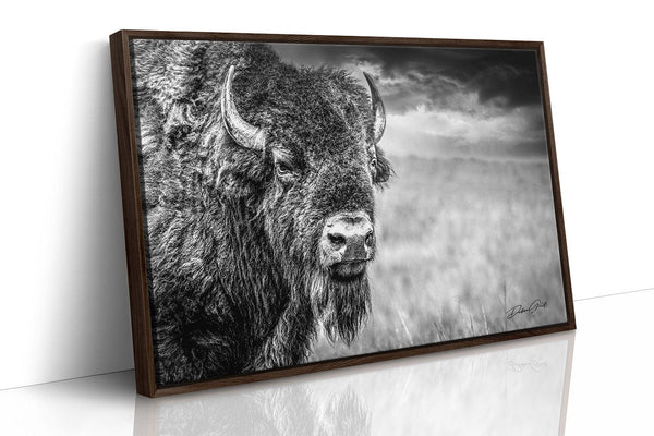 Debra Gail Fine Art Walnut Framed Canvas / 10x8 HUGE BISON CLOSE UP PRINT - BUFFALO WALL ART