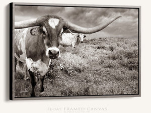 Texas Longhorn wall art – Western ranch photography print by Debra Gail Fine Art