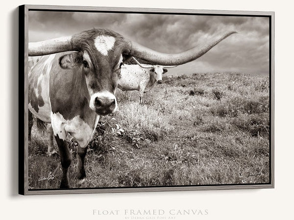 Debra Gail Fine Art Walnut Framed Canvas / 10x8 Large Longhorn Western Wall Art