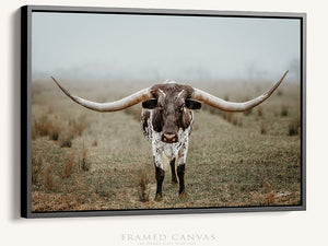 Longhorn cow wall decor canvas – rustic Western fine art print by Debra Gail Fine Art