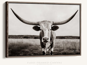 Longhorn cow wall decor canvas – rustic Western fine art print by Debra Gail Fine Art