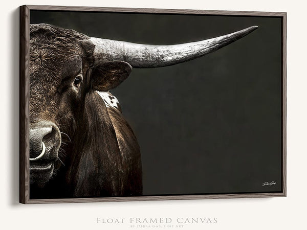 Debra Gail Fine Art Walnut Framed Canvas / 10x8 Large Western Decor Longhorn Bull Art Print