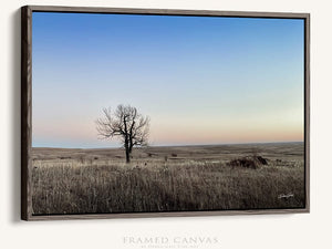 Flint Hills wall art – prairie tree landscape photography by Debra Gail Fine Art
