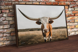 Texas Longhorn wall canvas barnwood framed Western fine art print by Debra Gail Fine Art