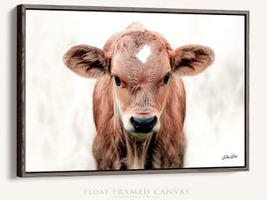 Longhorn cow calf wall at canvas – rustic Western fine art print by Debra Gail Fine Art