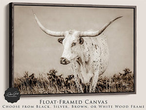 Texas Longhorn wall canvas barnwood framed Western fine art print by Debra Gail Fine Art
