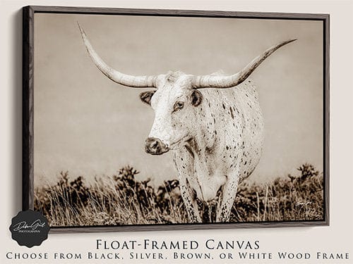 Debra Gail Fine Art Walnut Framed Canvas / 10x8 Longhorn Canvas Wall Art in Neutral Farmhouse Colors