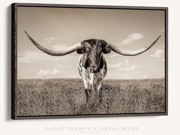 Debra Gail Fine Art Walnut Framed Canvas / 10x8 Longhorn Cow Print or Canvas by Debra Gail - Neutral Farmhouse Decor