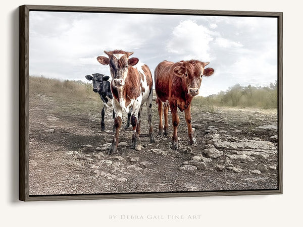 Debra Gail Fine Art Walnut Framed Canvas / 10x8 Longhorn Cow Print Picture - Cute Baby Calves