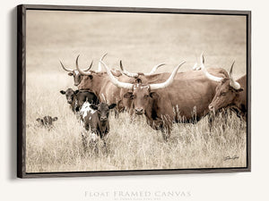 Longhorn cow wall decor canvas – rustic Western fine art print by Debra Gail Fine Art