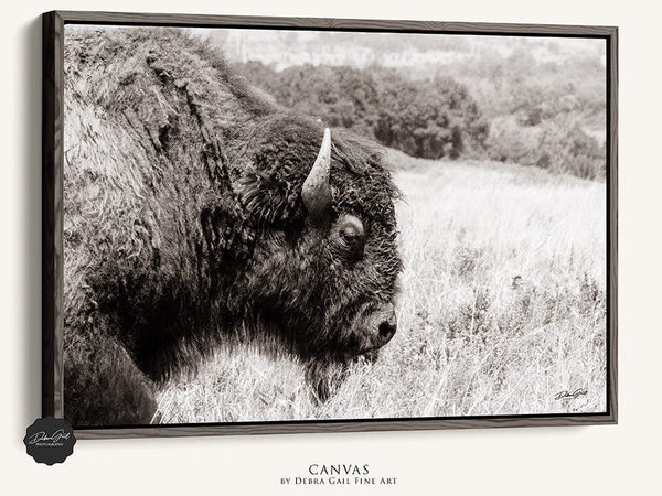 Debra Gail Fine Art Walnut Framed Canvas / 10x8 MAJESTIC PLAINS BISON - WESTERN DECOR