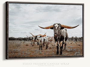 Longhorn wall decor – rustic Western fine art print by Debra Gail Fine Art
