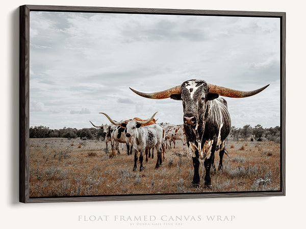 Debra Gail Fine Art Walnut Framed Canvas / 10x8 Majestic Texas Longhorns - Western Ranch Decor