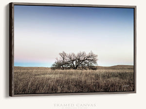 Kansas Flint Hills wall art – sunrise prairie landscape photography by Debra Gail Fine Art