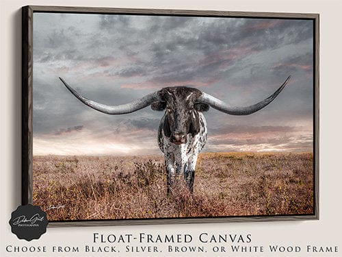 Debra Gail Fine Art Walnut Framed Canvas / 10x8 Modern Longhorn Canvas Wall Art Print