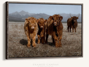 Highland cow wall art – rustic farmhouse fine art print by Debra Gail Fine Art