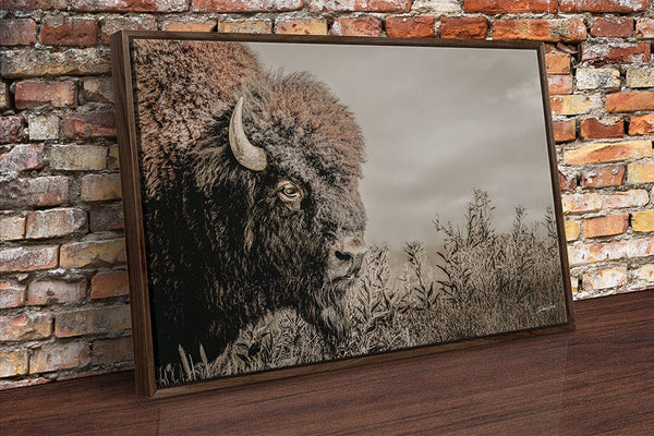 Debra Gail Fine Art Walnut Framed Canvas / 10x8 Rustic Bison Western Wall Art - Fine Art Canvas or Print No. 2185