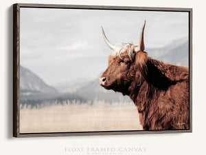 Highland cow wall art – rustic farmhouse fine art print by Debra Gail Fine Art