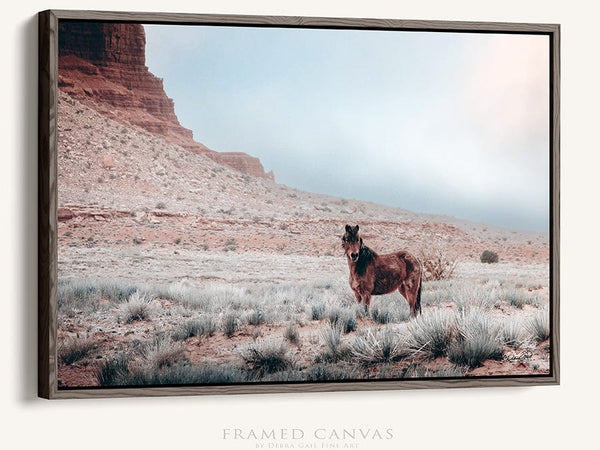 Debra Gail Fine Art Walnut Framed Canvas / 10x8 SOUTHWEST WILD HORSE ART PRINT