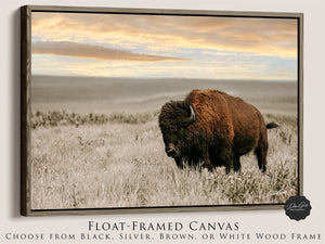 Buffalo wall art – Great Plains wildlife wall decor by Debra Gail Fine Art