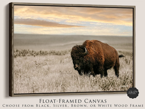 Debra Gail Fine Art Walnut Framed Canvas / 10x8 SUNSET PHOTOGRAPHY - THE BISON BULL