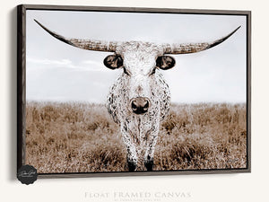 Texas Longhorn wall canvas barnwood framed Western fine art print by Debra Gail Fine Art