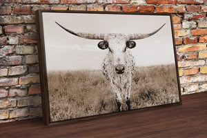 Longhorn wall decor – rustic Western fine art print by Debra Gail Fine Art