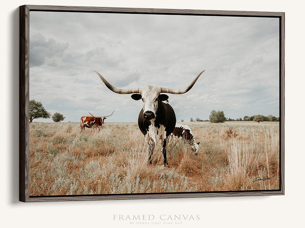 Debra Gail Fine Art Walnut Framed Canvas / 10x8 Texas Longhorn Cow with Her Calf - Farmhouse Art