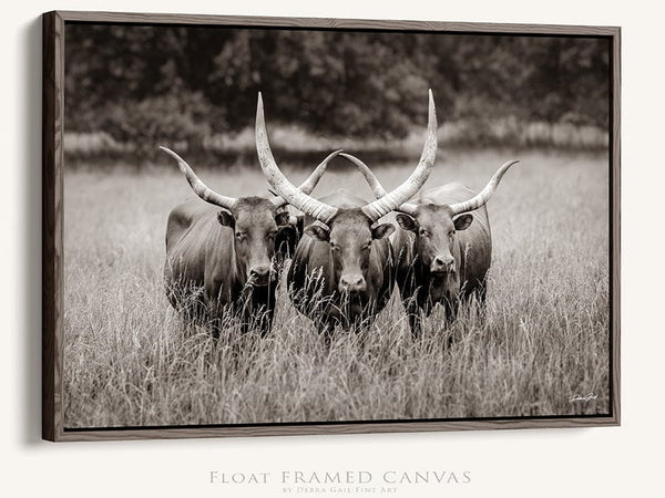 Debra Gail Fine Art Walnut Framed Canvas / 10x8 Texas Longhorn Watusi Art - Western Decor