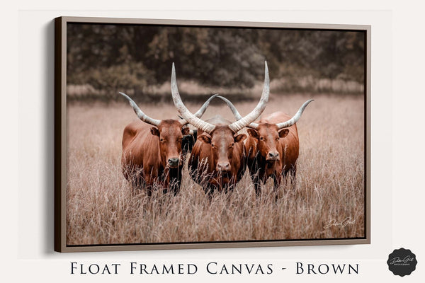 Debra Gail Fine Art Walnut Framed Canvas / 10x8 Texas Longhorn Watusi Canvas Art Print - Western Style