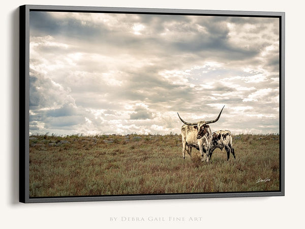 Debra Gail Fine Art Walnut Framed Canvas / 10x8 Texas Longhorns Under Dramatic Sky | Western Rustic Fine Art Photography